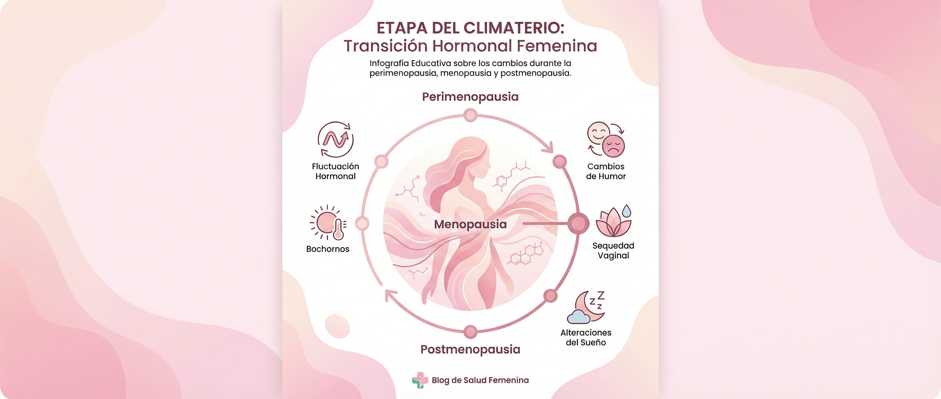 Climaterio: qué es, síntomas y etapas en la mujer - herbellavita