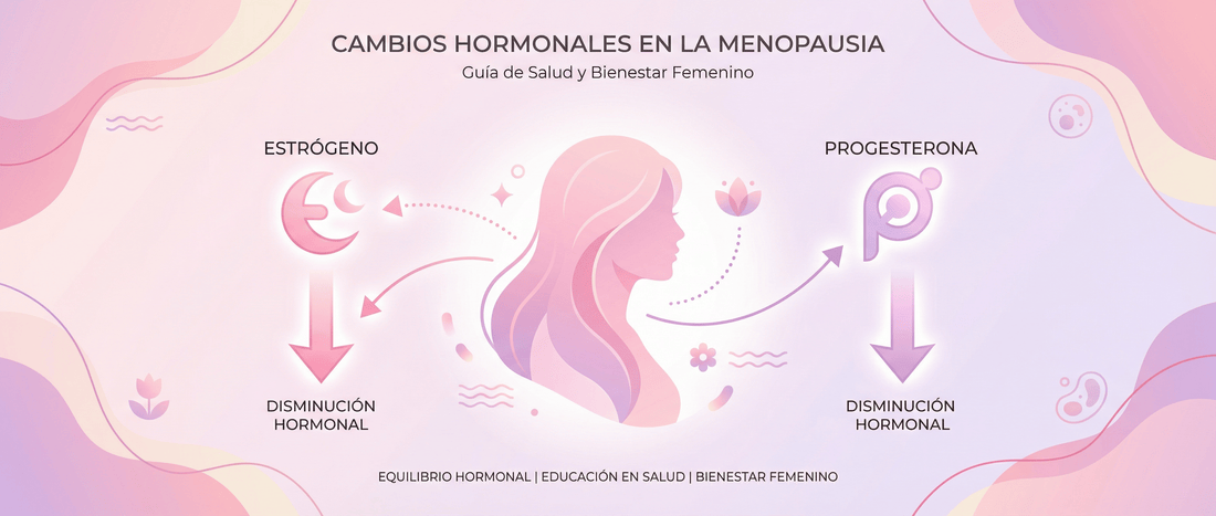 Hormonas en la menopausia: qué ocurre en el cuerpo femenino - herbellavita