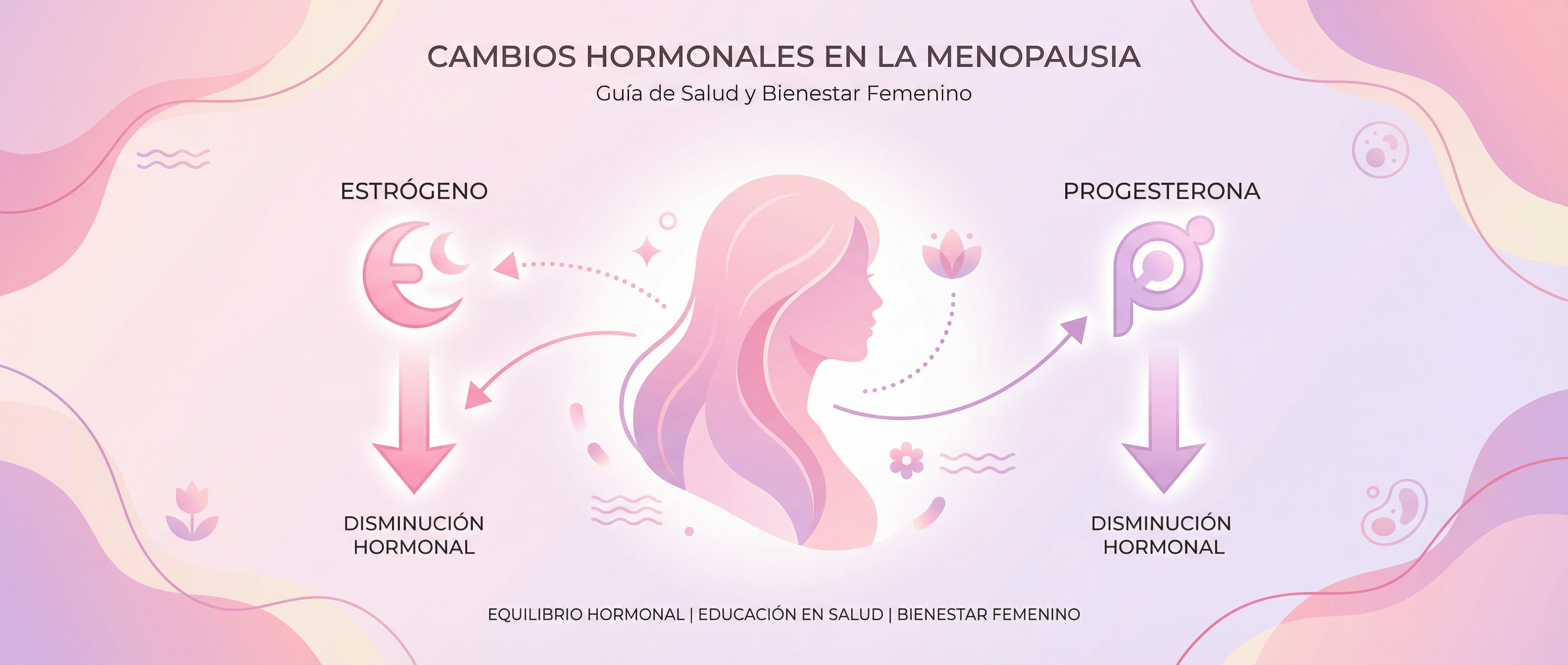 Hormonas en la menopausia: qué ocurre en el cuerpo femenino - herbellavita