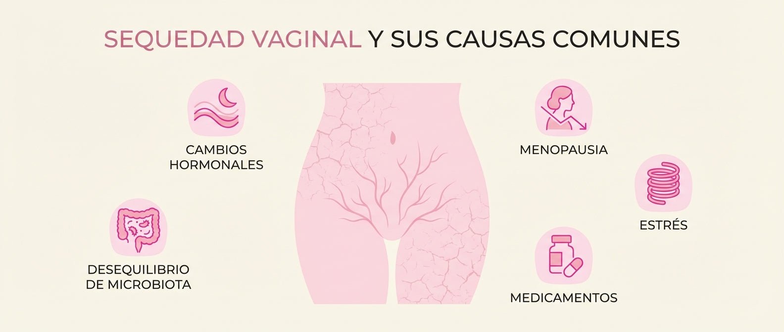 Sequedad vaginal: causas, síntomas y cómo mejorar la hidratación vaginal - herbellavita