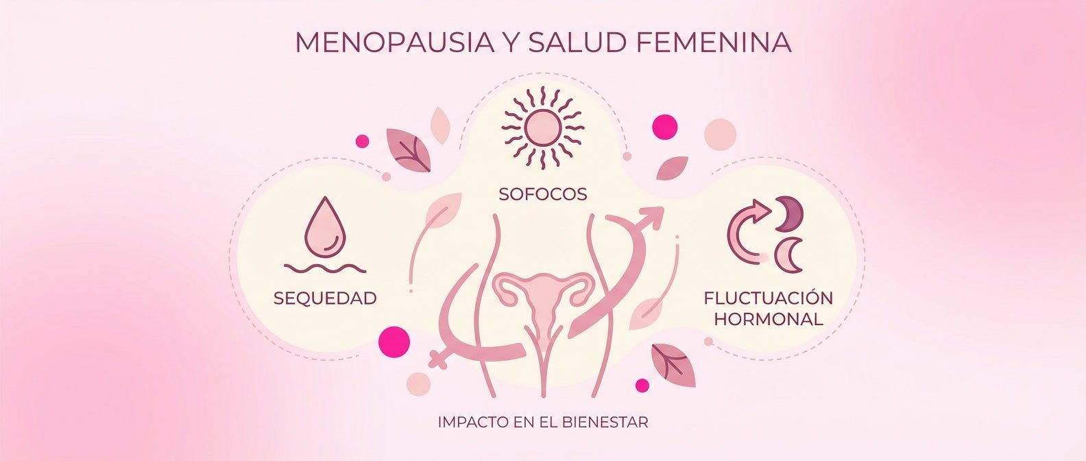 Sequedad vaginal en la menopausia: por qué ocurre y cómo aliviarla - herbellavita