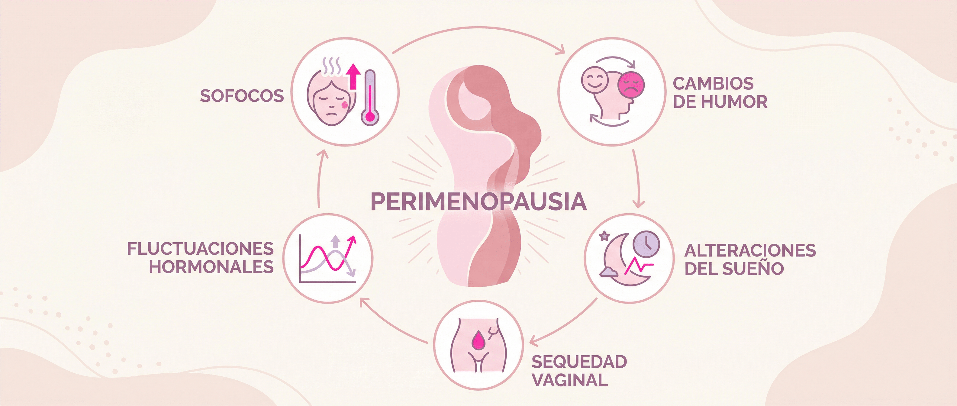 Síntomas de la perimenopausia: señales comunes antes de la menopausia - herbellavita