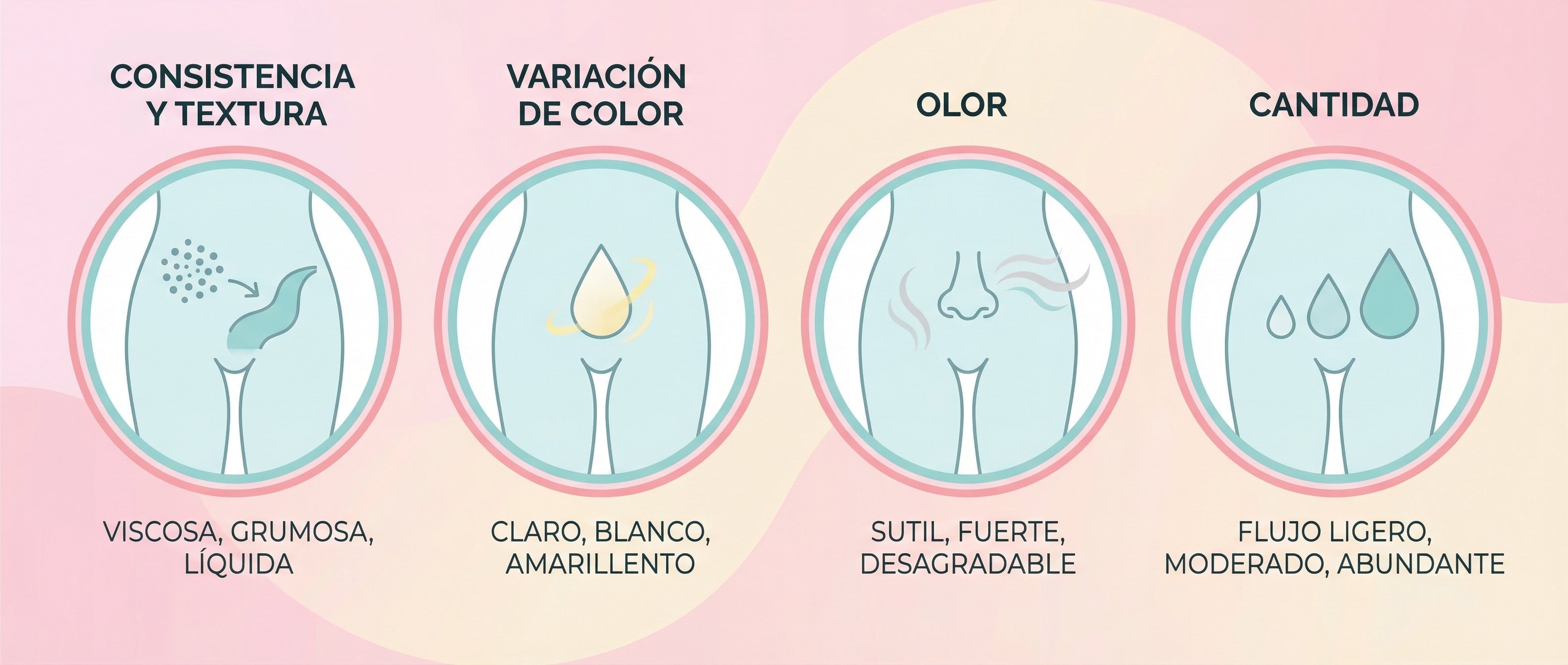 Tipos de flujo vaginal y qué significa cada color (guía completa) - herbellavita